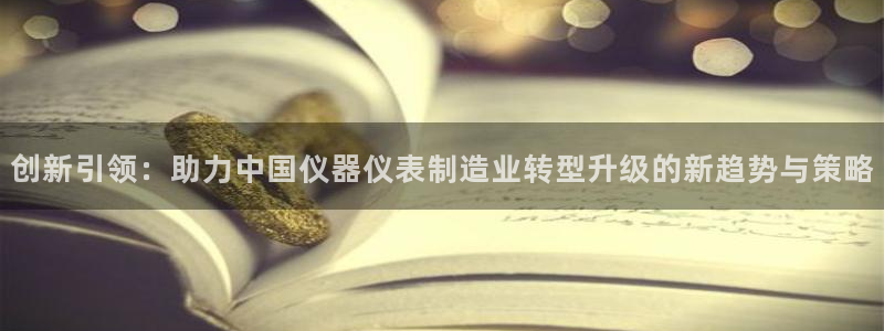 天宏娱乐金大叔