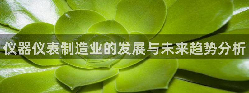 天宏娱乐石叔简介