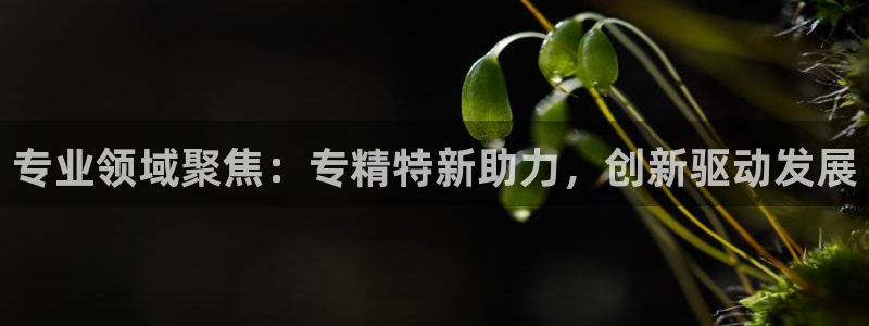 天宏娱乐招商部电话地址：专业领域聚焦：专精特新助力，创新驱动