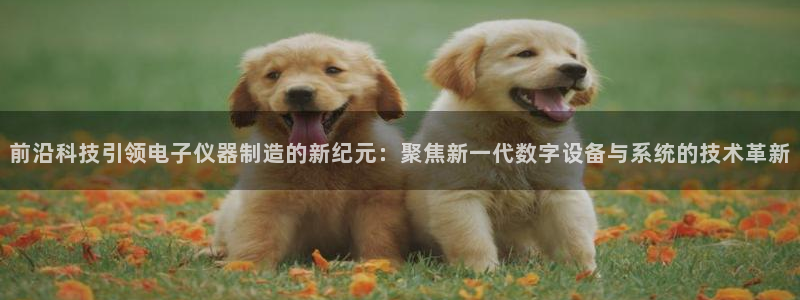 快手天宏娱乐是什么：前沿科技引领电子仪器制造的新纪元：聚焦新