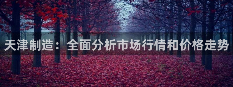 西安天宏娱乐老男孩：天津制造：全面分析市场行情和价格走势
