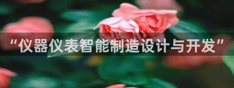 天宏娱乐宋善良：“仪器仪表智能制造设计与开发”
