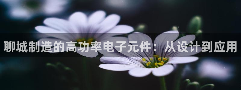 天宏娱乐董事长简介：聊城制造的高功率电子元件：从设计到应用
