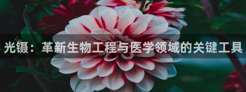 天宏娱乐丘v33300