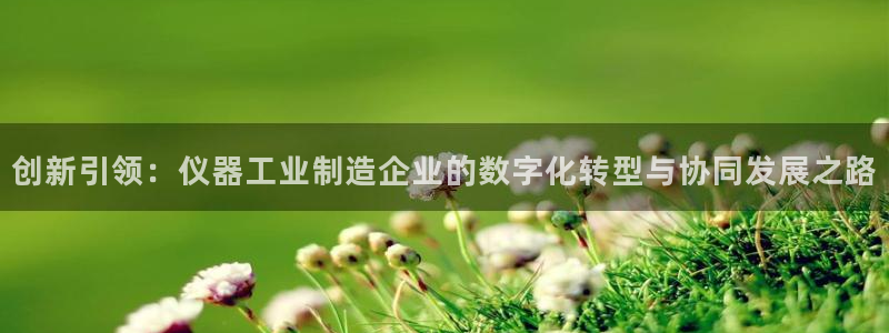 西安天宏娱乐团在哪：创新引领：仪器工业制造企业的数字化转型与