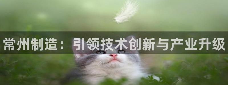 天宏娱乐团购活动时间