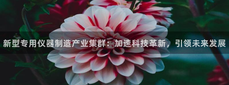天宏娱乐秦叔老婆：新型专用仪器制造产业集群：加速科技革新，引