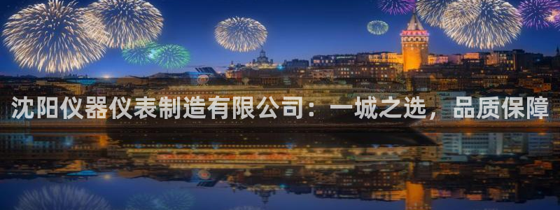 天宏娱乐怎么样：沈阳仪器仪表制造有限公司：一城之选，品质保障