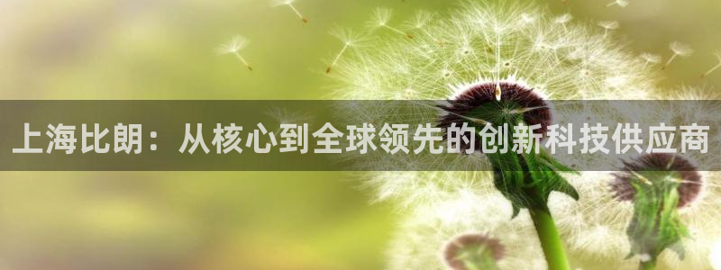 天宏娱乐满意hfqjwl下拉：上海比朗：从核心到全球领先的创