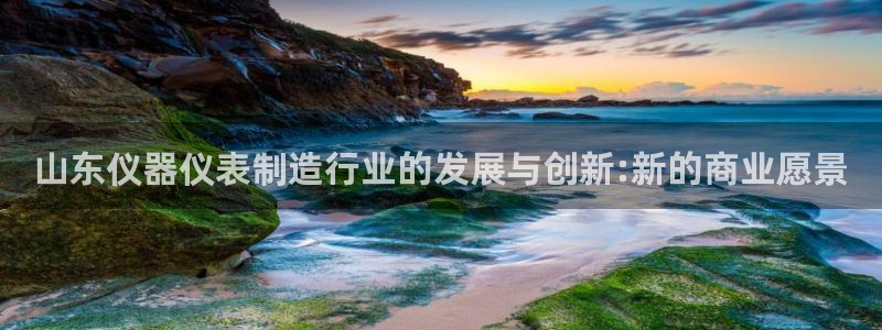 天宏娱乐注册：山东仪器仪表制造行业的发展与创新:新的商业愿景