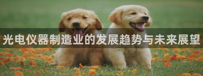 天宏娱乐团购活动时间：光电仪器制造业的发展趋势与未来展望