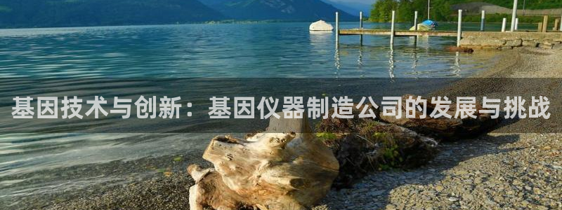 天宏娱乐徐叔：基因技术与创新：基因仪器制造公司的发展与挑战