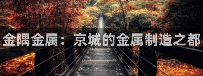 天宏娱乐老男孩董叔：金隅金属：京城的金属制造之都