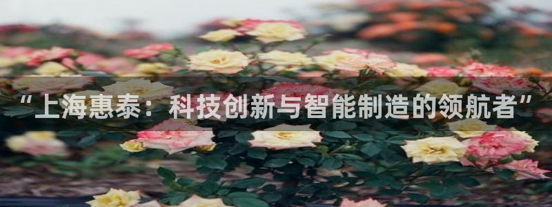 天宏娱乐js：“上海惠泰：科技创新与智能制造的领航者”