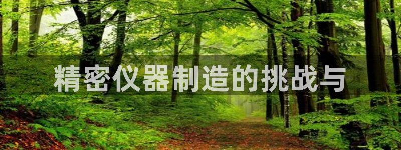 宏天广场娱乐会所地址：精密仪器制造的挑战与
