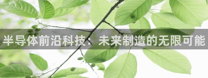 宏天广场娱乐会所电话：半导体前沿科技：未来制造的无限可能