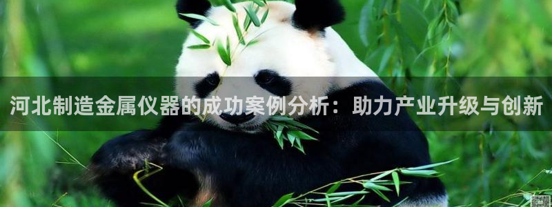 天宏娱乐有明星吗：河北制造金属仪器的成功案例分析：助力产业升