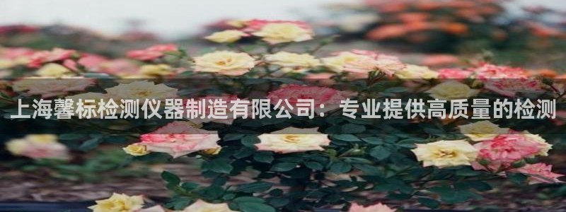 西安天宏娱乐团队招聘：上海馨标检测仪器制造有限公司：专业提供