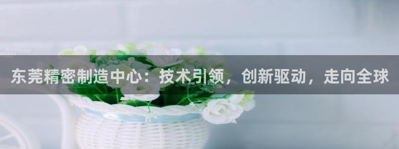 天宏娱乐怎么样：东莞精密制造中心：技术引领，创新驱动，走向全