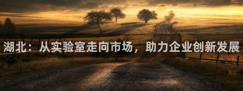 天宏娱乐王叔：湖北：从实验室走向市场，助力企业创新发展
