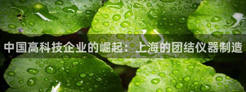 天宏娱乐河源店：中国高科技企业的崛起：上海的团结仪器制造
