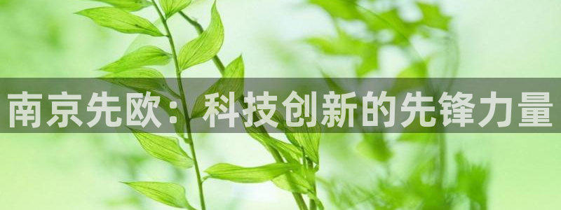 宏天娱乐会所怎么样：南京先欧：科技创新的先锋力量