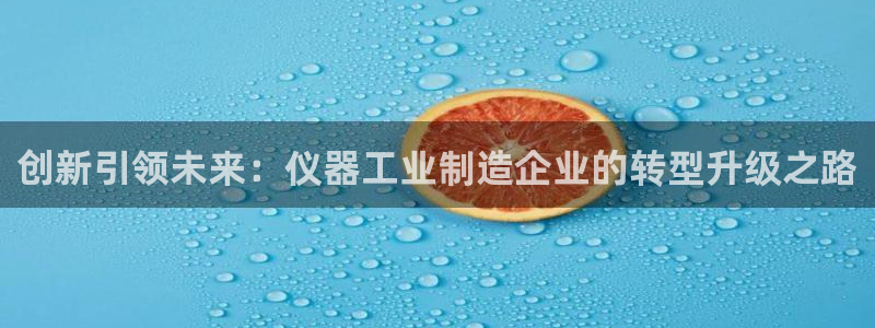 天宏娱乐大叔团队介绍图片：创新引领未来：仪器工业制造企业的转