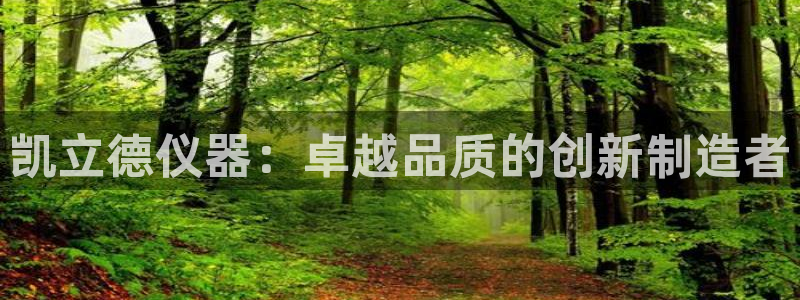 天宏娱乐关先生：凯立德仪器：卓越品质的创新制造者