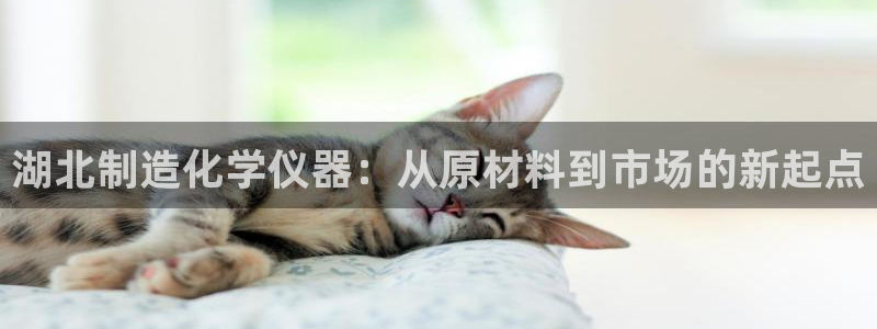 河源天宏娱乐店：湖北制造化学仪器：从原材料到市场的新起点
