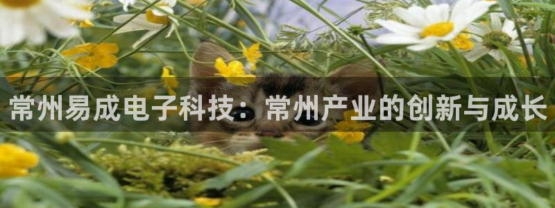 天宏娱乐d 判官：常州易成电子科技：常州产业的创新与成长
