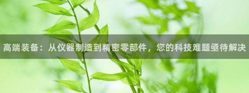 天宏娱乐2000：高端装备：从仪器制造到精密零部件，您的科技