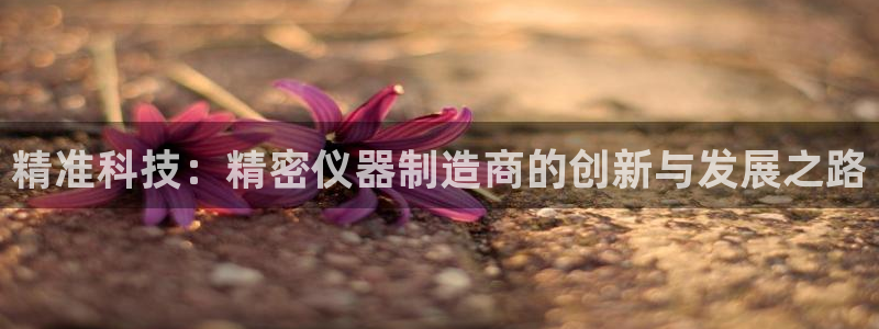 天宏娱乐军叔：精准科技：精密仪器制造商的创新与发展之路