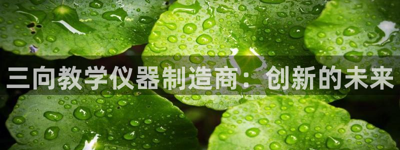天宏娱乐2000