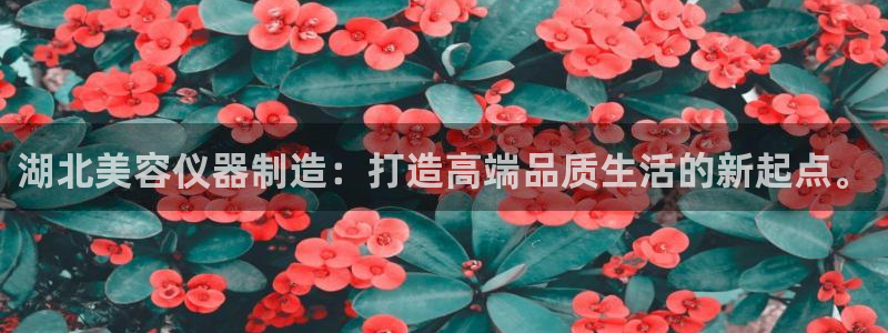 天宏娱乐会所地址在哪里