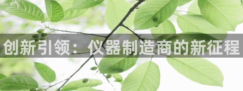天宏娱乐 老刘
