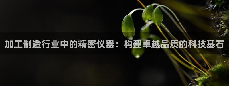 天宏娱乐团队