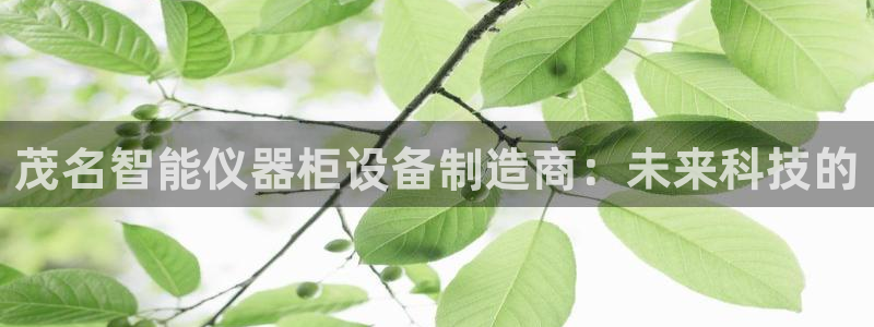 天宏娱乐创始人河源