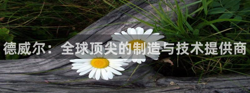 天宏娱乐有明星么