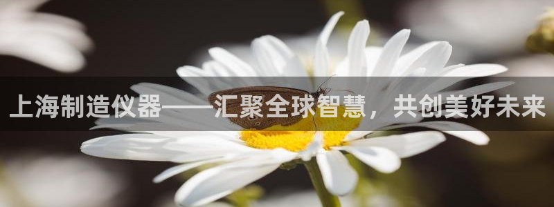 天宏娱乐集团董事长：上海制造仪器——汇聚全球智慧，共创美好未