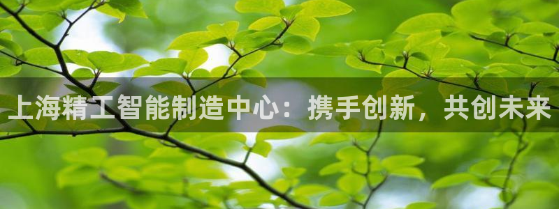 天宏娱乐是不是正规平台：上海精工智能制造中心：携手创新，共创