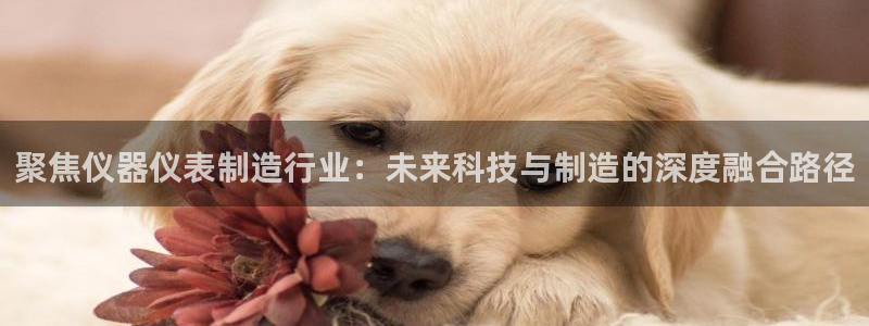 天宏娱乐正规吗1720 com：聚焦仪器仪表制造行业：未来科