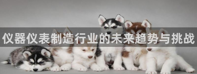天宏娱乐集团董事长：仪器仪表制造行业的未来趋势与挑战