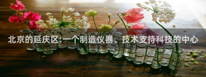 天宏娱乐有群：北京的延庆区:一个制造仪器、技术支持科技的中心