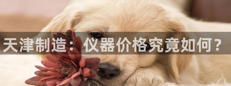 天宏娱乐·v主管管32937：天津制造：仪器价格究竟如何？
