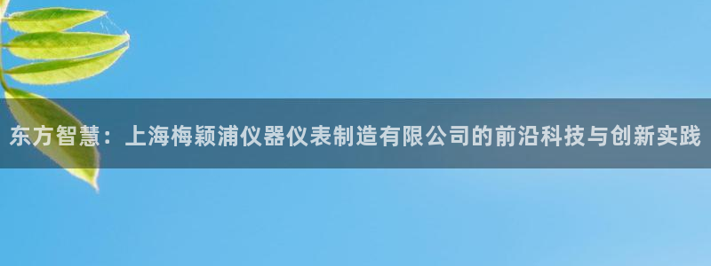 天宏娱乐官网：东方智慧：上海梅颖浦仪器仪表制造有限公司的前沿