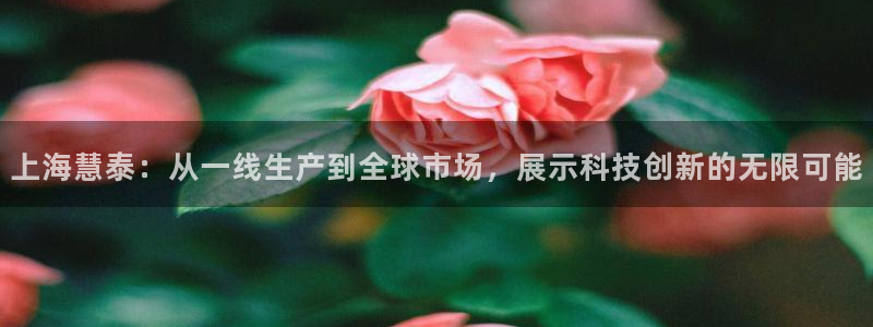 天宏娱乐张叔：上海慧泰：从一线生产到全球市场，展示科技创新的