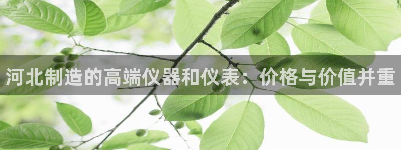 天宏娱乐团队：河北制造的高端仪器和仪表：价格与价值并重