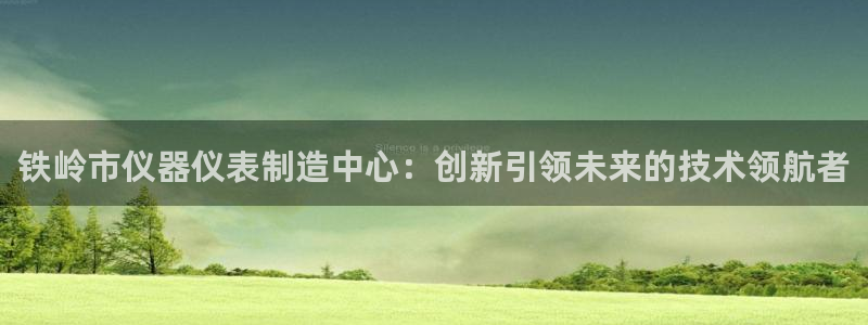 天宏娱乐的王叔：铁岭市仪器仪表制造中心：创新引领未来的技术领