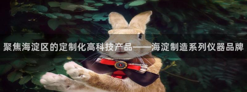 天宏娱乐团购价格多少：聚焦海淀区的定制化高科技产品——海淀制