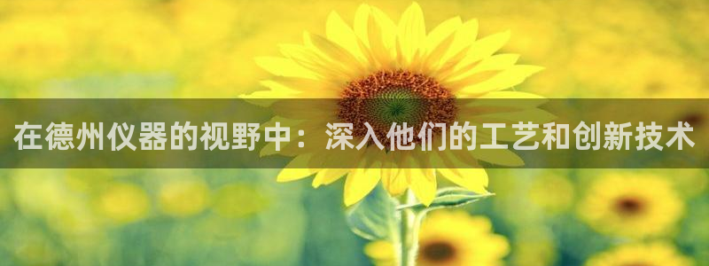 河源天宏娱乐店：在德州仪器的视野中：深入他们的工艺和创新技术